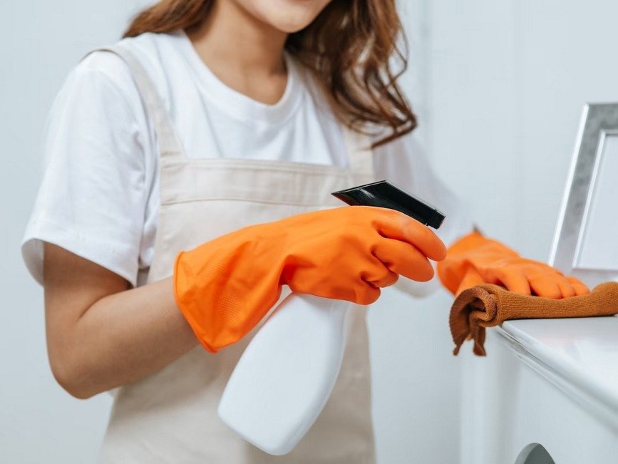 Fanny Professional Cleaning Services